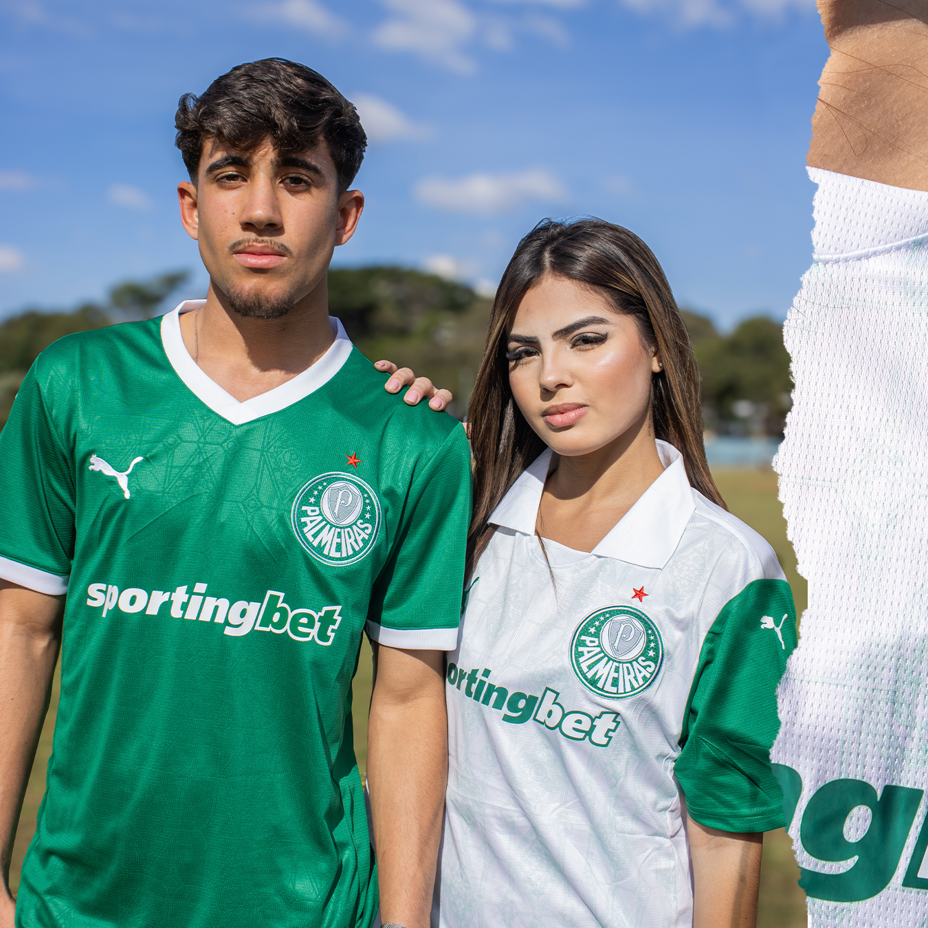 Coleção Palmeiras FC
