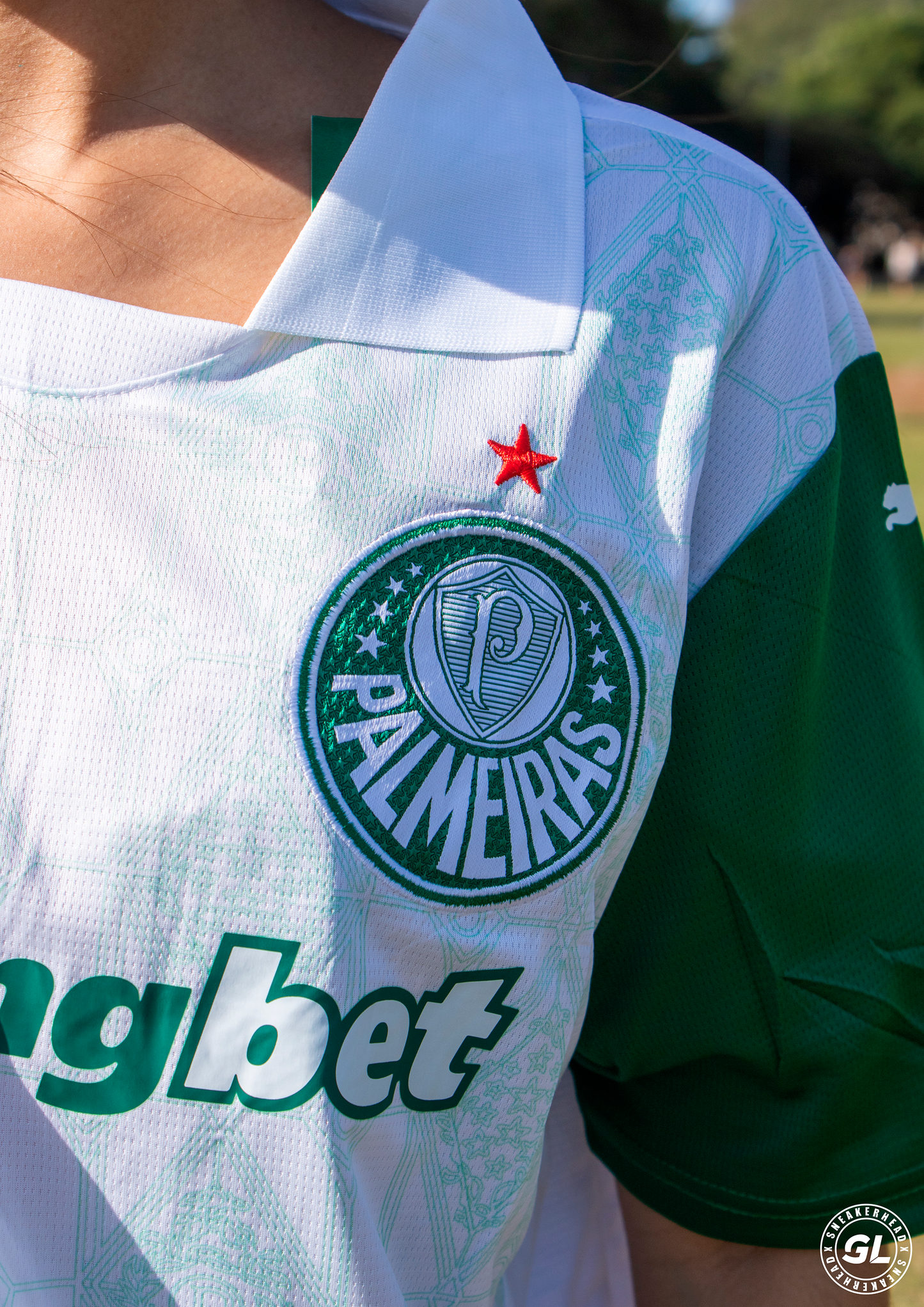Camisa Palmeiras II 2024