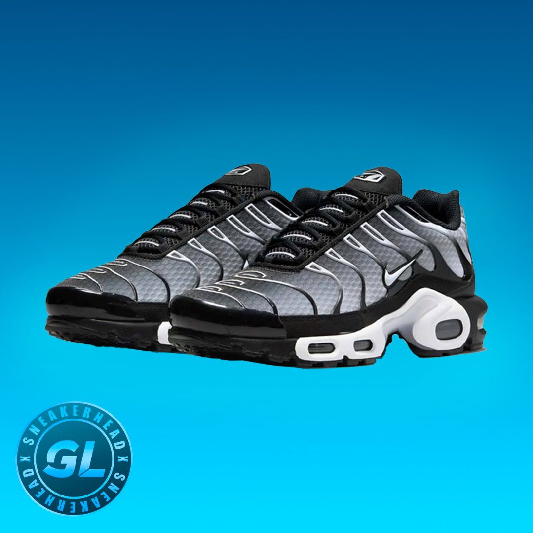 Air Max “Black Metallic Silver”