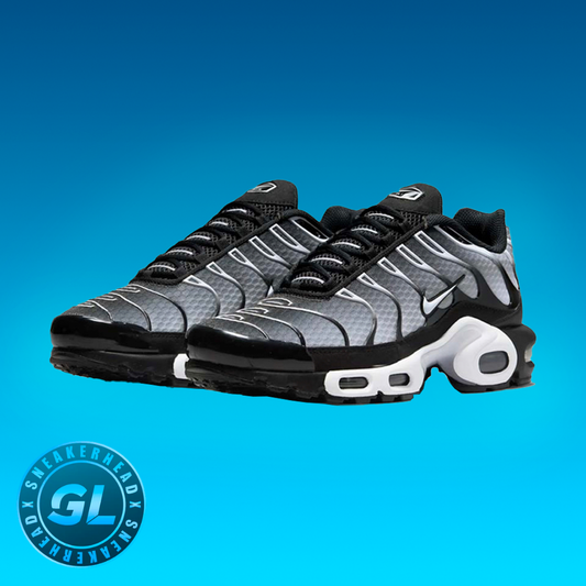 Air Max “Black Metallic Silver”