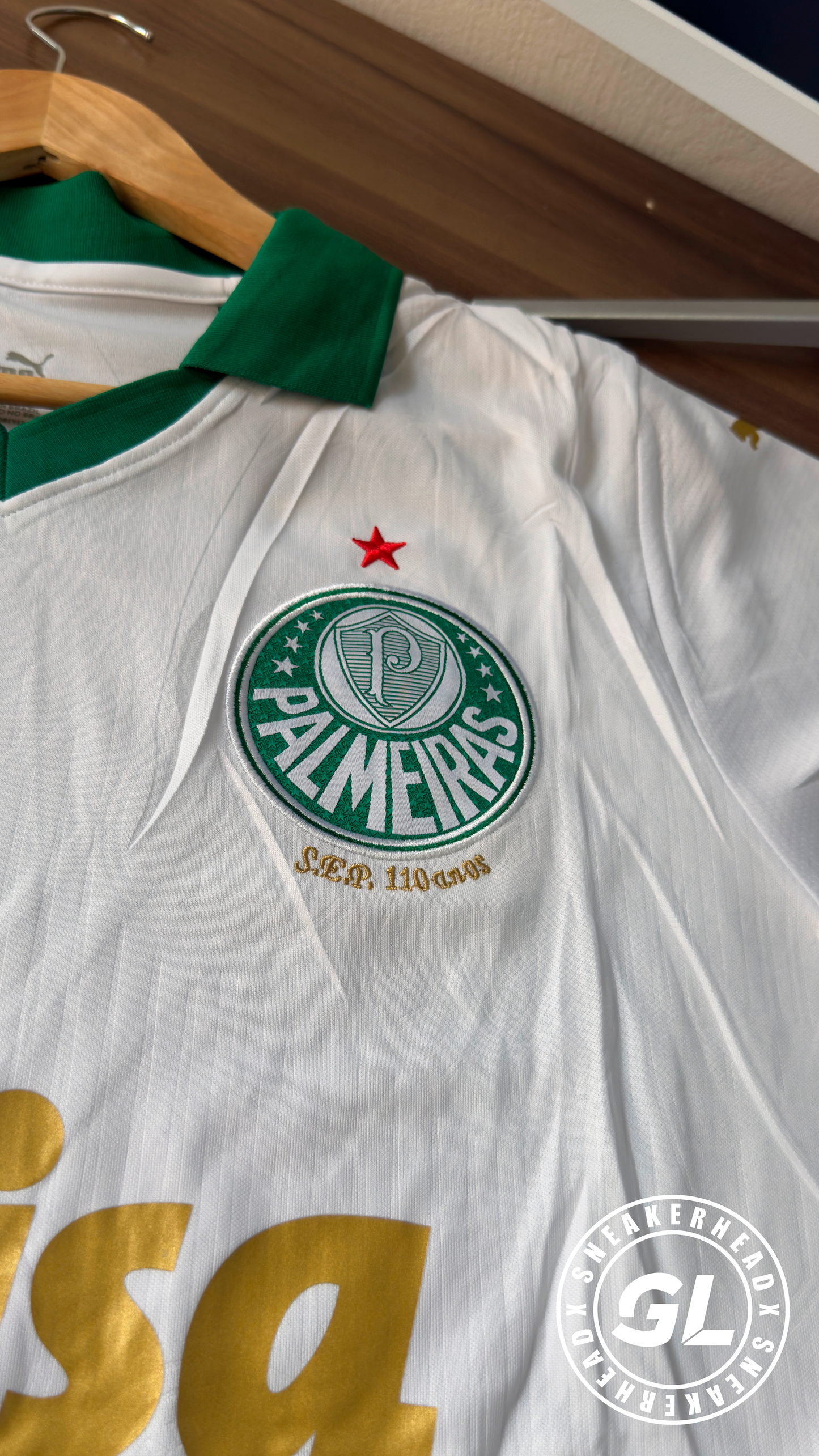 Camisa Palmeiras II 2024