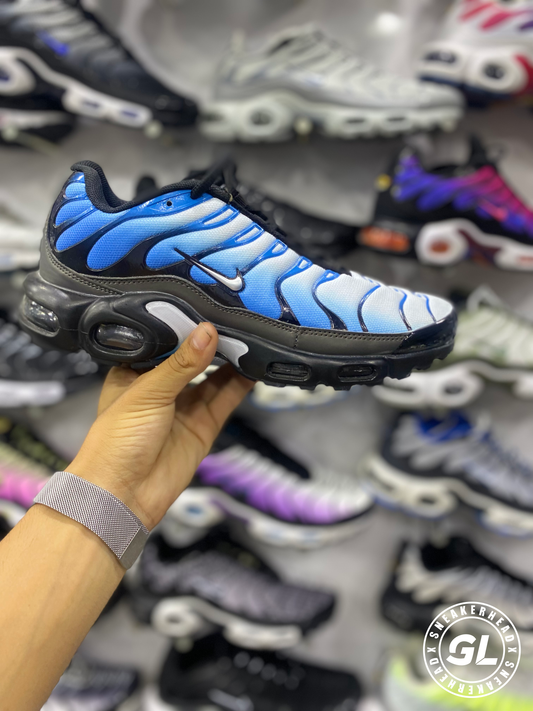 Tênis Nike Air Max Plus